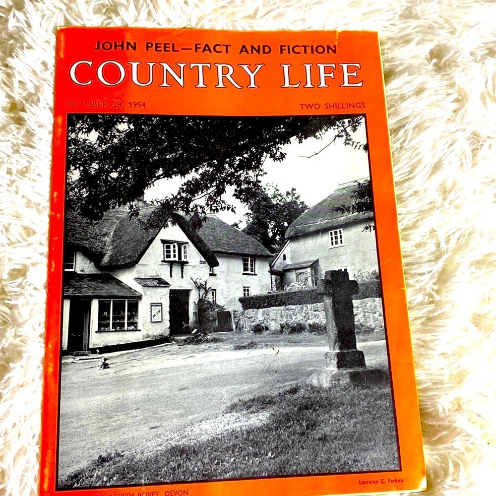 COUNTRY LIFE MAGAZINE October 28, 1954
